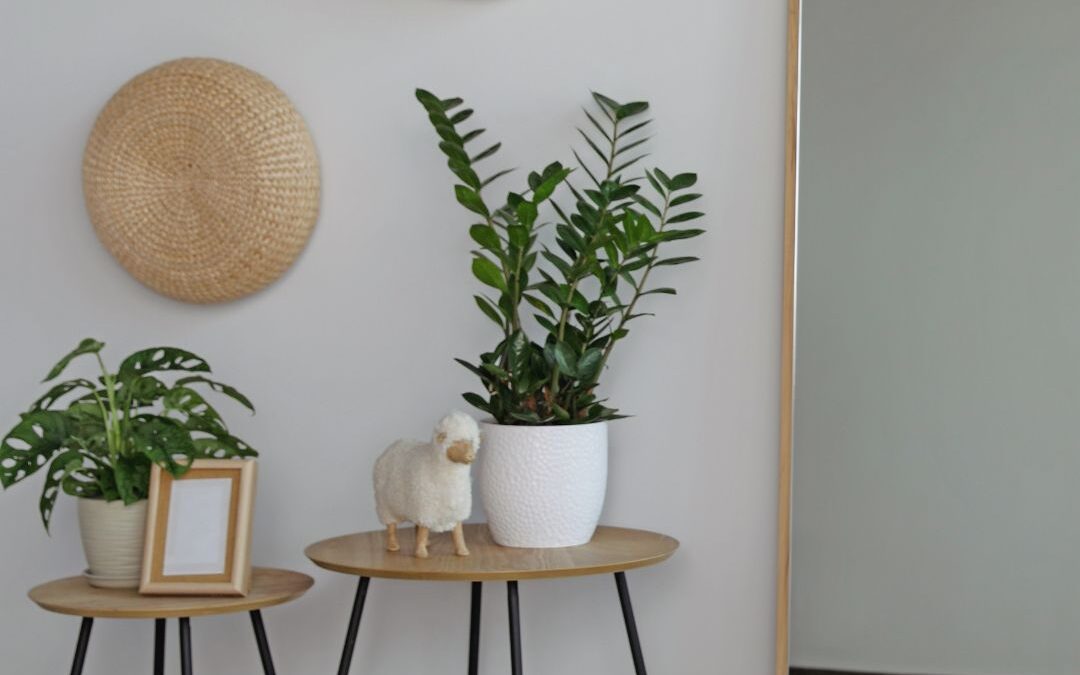 Errores comunes al decorar un piso reformado (y cómo evitarlos)